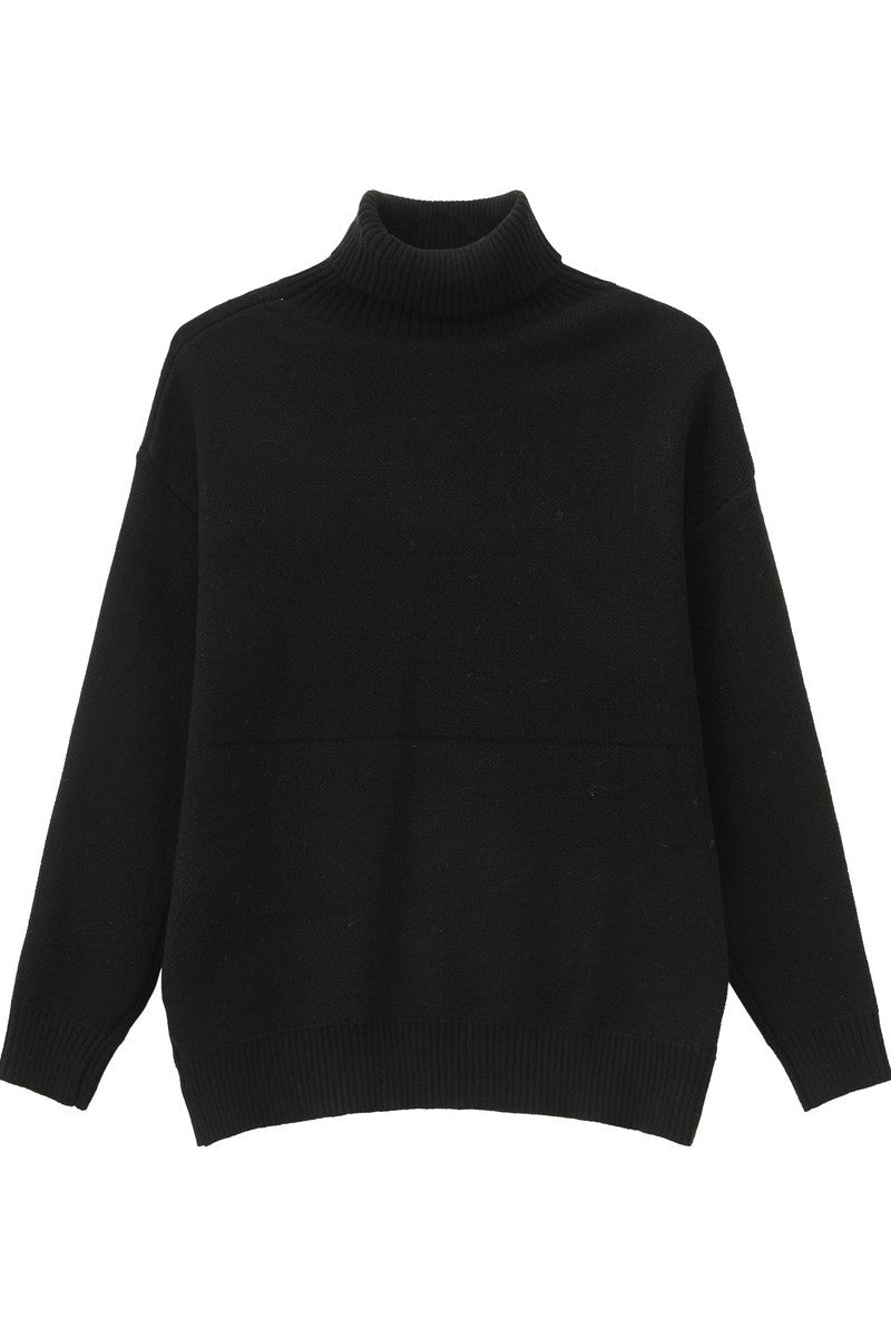 Heavyweight Turtleneck Knit Sweater