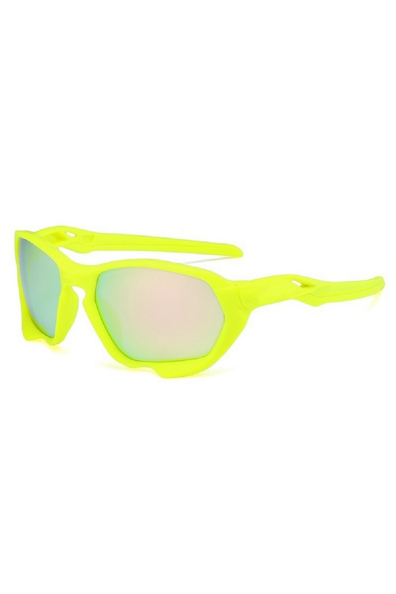 Dust Shield Sunglasses