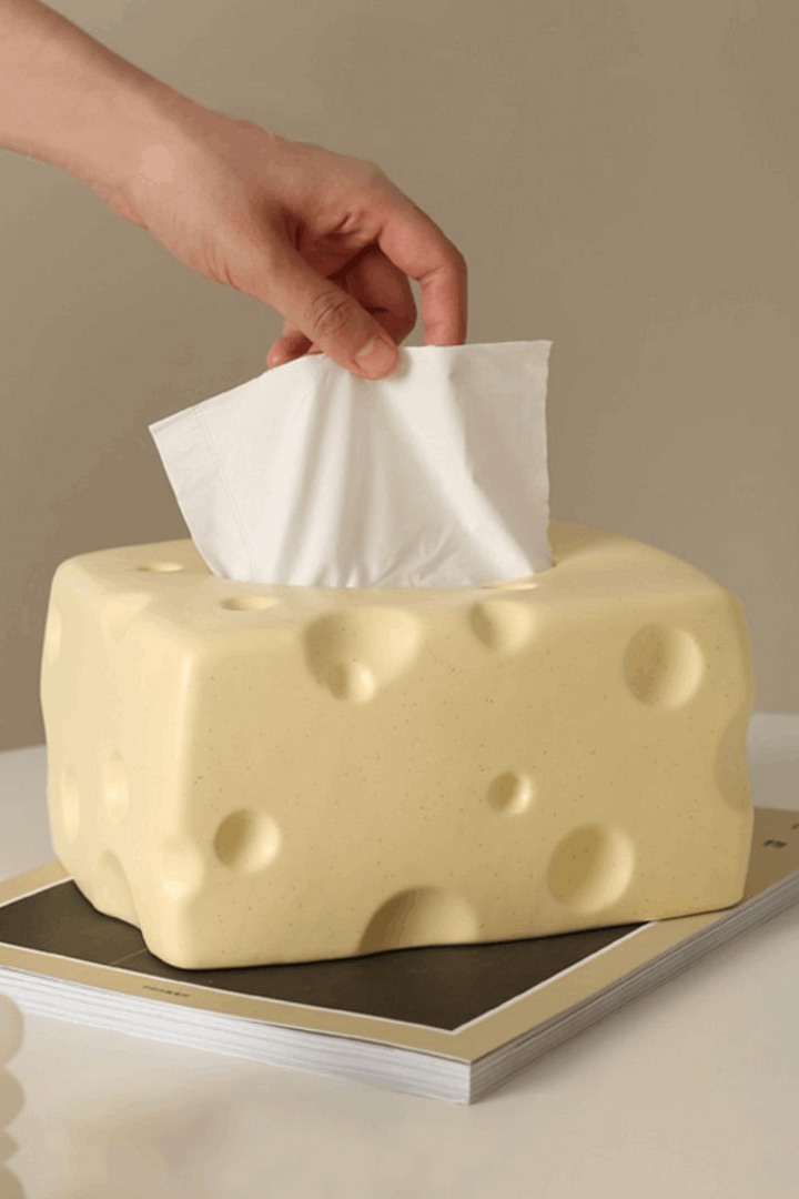 Cheese Tissue Box Cover